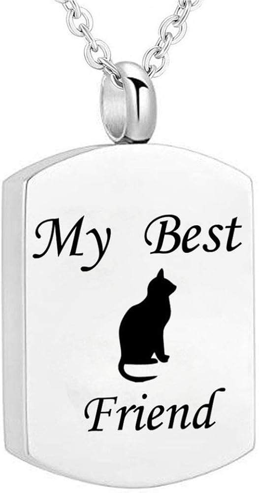 misyou Stainless Steel Heart Cat Pendant Urn Necklace Memorial Ash Keepsake Cremation Jewelry My Best Cat Friend