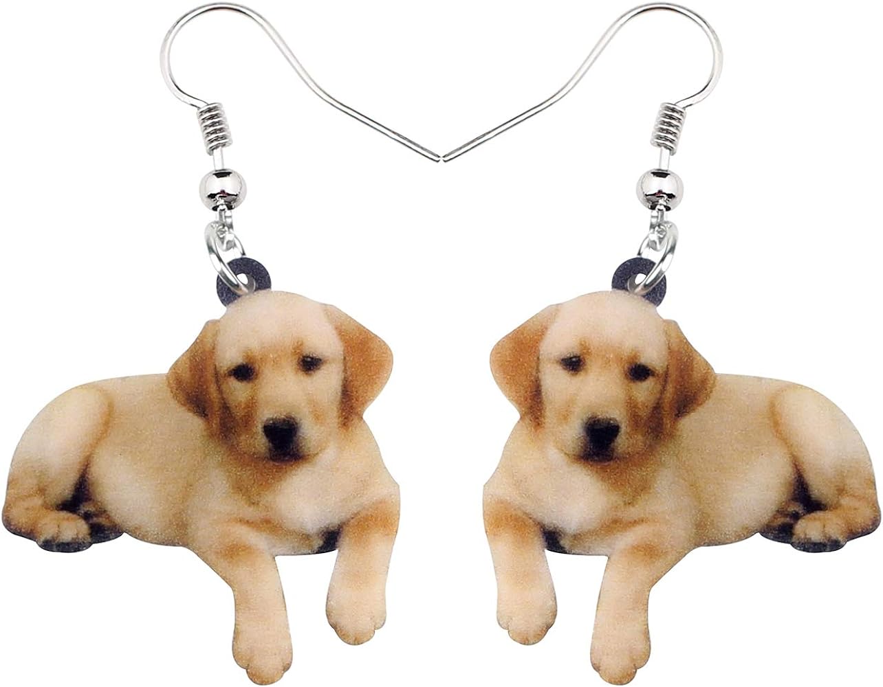 Cute Acrylic Dog Earrings Labrador Retriever Dangling Jewelry for Women Teens Dog Lovers Gifts