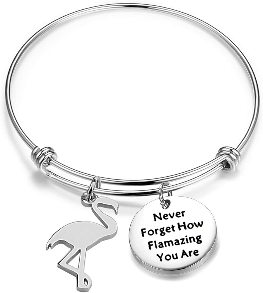 TGBJE Flamingo Jewelry Never Forget How Flamazing You Are Bracelet Expandable Bangle BFF Gift